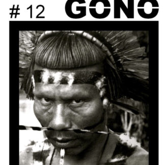 FORT GONO # 12